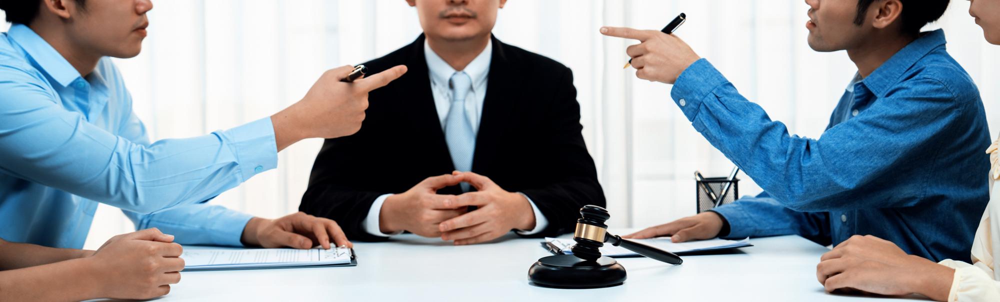 Court representation and litigation services for commercial and employment disputes
